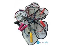 school-chalao-a-brief-history-of-racquetball.jpg
